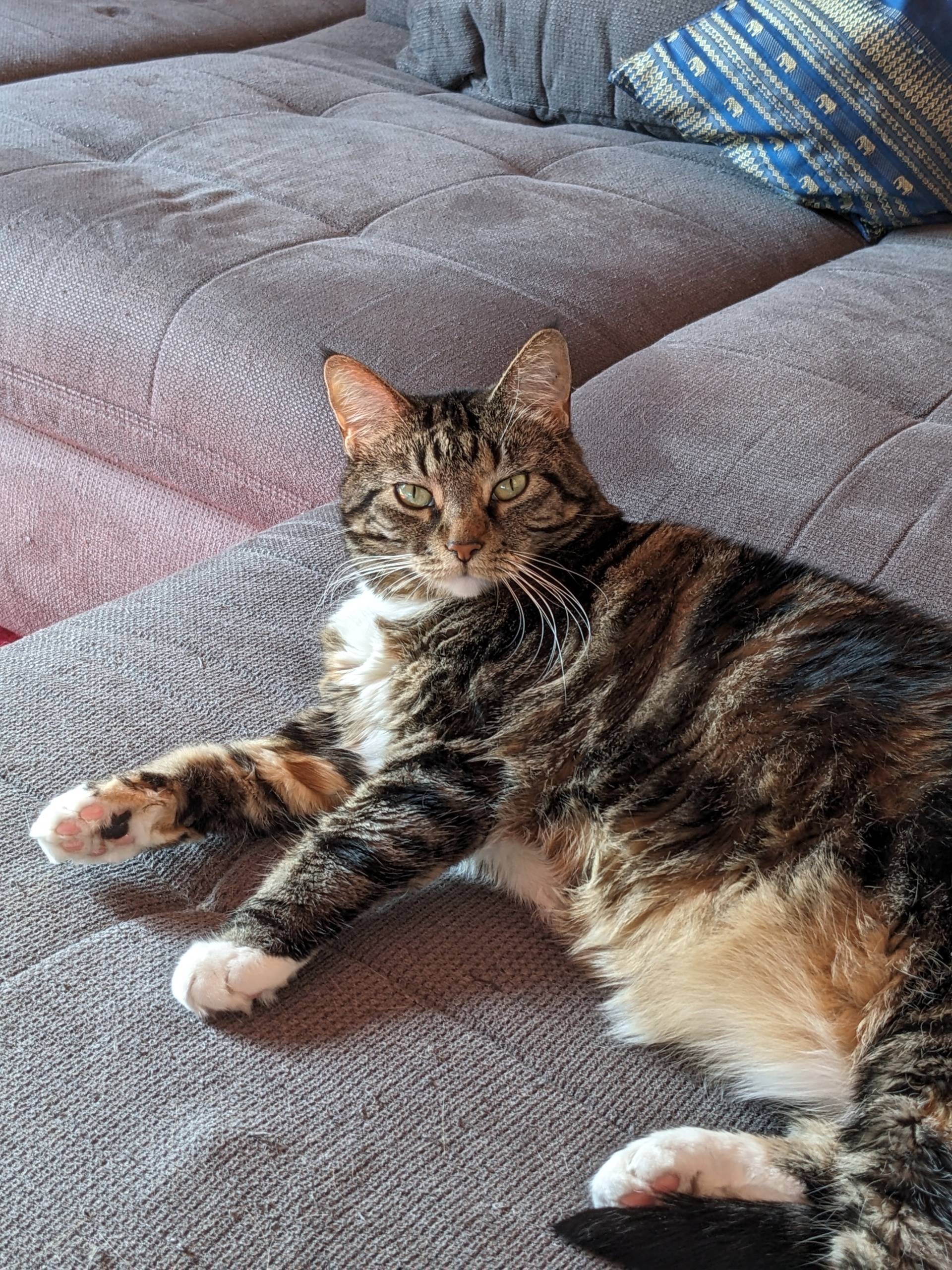 Freddy und Ella – Foto 1